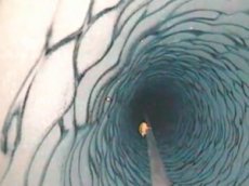 Исследователям удалось заснять самых глубоководных рыб в мире