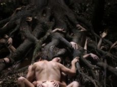 Первый трейлер к новому хоррору Ларса фон Триера