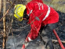Дмитрий Билан принял участие в тушении лесных пожаров