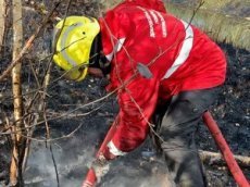 Дмитрий Билан принял участие в тушении лесных пожаров