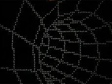 Монетная анимация