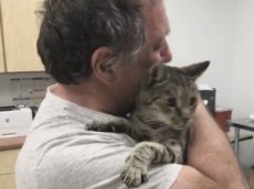 Встреча кота и хозяина спустя 7 лет разлуки попала на видео