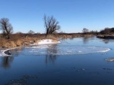 Странное природное явление сняли на видео на реке Воронеж