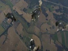 Коты-скайдайверы снялись в рекламе