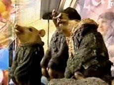 В Брянске мертвых поросят нарядили партизанами