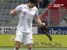 Куница укусила футболиста во время матча