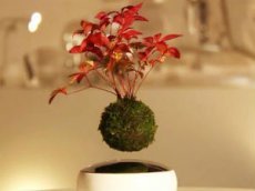 Японцы создали платформу для левитации