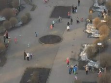 В Новокузнецке бойцовская собака напала на ребенка