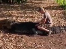 Датский турист оседлал пятиметрового крокодила