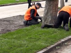 В Пскове "тщательно готовились" к визиту Путина