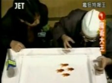 Японец научил аквариумных рыбок плавать строем