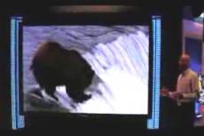 Самая большая плазменная панель появится в продаже в 2009-м году