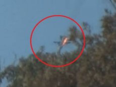 Падение российского Су-24 на границе Турции и Сирии