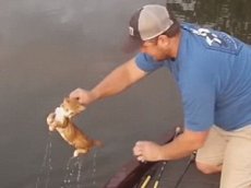 Рыбаки в Алабаме выловили из реки котят