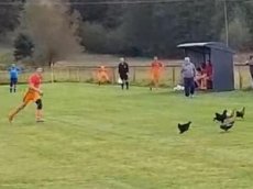 Футболист убил курицу во время матча