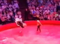 В казанском цирке страус напал на зрителей