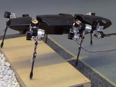 Инженеры создали шестилапого большого робота-насекомого