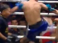 Фантастический нокаут тайского кикбоксёра