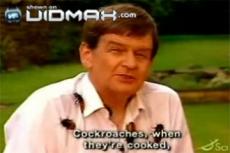 В Англии живет семья, считающая тараканов … деликатесом!