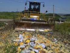 Cанкционным продуктам посвятили песню «Смерть пармезана»