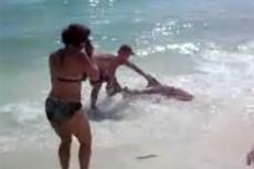Во Флориде на пляже отдыхающие поймали акулу
