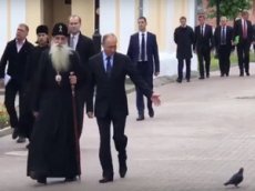Видео, как голубь отдаёт честь Путину, стало хитом в YouTube