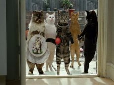 Продолжение знаменитой рекламы про котов с пальцами