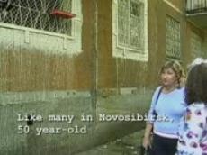 Жительница Новосибирска завела себе 130 кошек