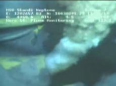 Впервые представлено видео со дна Мексиканского залива, где хлещет нефть