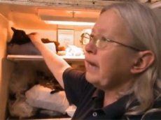 Женщина заморозила 100 трупов кошек в холодильнике