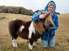 Шотландский пони сделал карьеру телезвезды