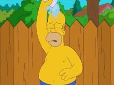 Обливание Гомера Симпсона ледяной водой "взорвало" YouTube