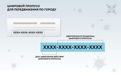 Как получить пропуск – разрешение для передвижения по Москве, разъяснил мэр Собянин (ФОТО)