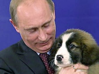 Россияне предложили новой собаке Путина тысячи имен