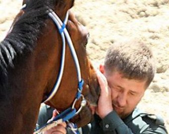 Лошадь Рамзана Кадырова стала призером в Дубае