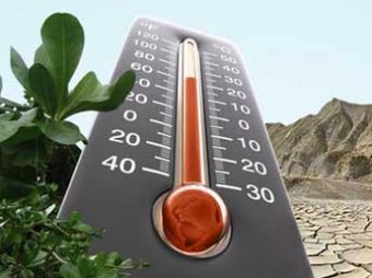 Экологи выяснили, на сколько градусов на Земле потеплеет к 2100 году