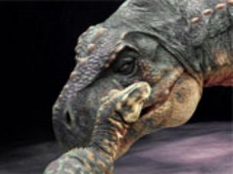 Ученые: открыт новый вид динозавтра, родственный тиранозавру