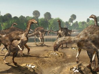 В монгольской пустыне найдена колония динозавров с огромными когтями