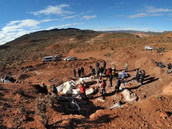 В Аргентине найден скелет самого большого в мире динозавра