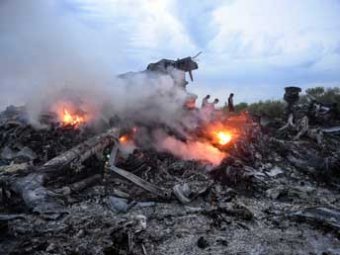 Голландский судмедэксперт раскрыл секретные данные о крушении Boeing 777 на Донбассе