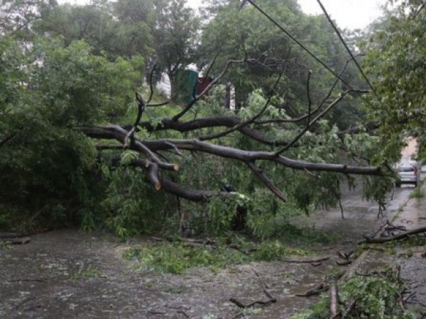Тайфун в Приморье сейчас достиг своего пика (фото, видео)