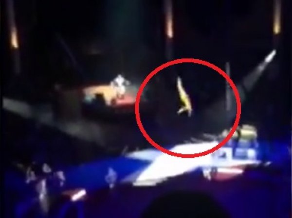 Гимнастка упала в цирке Никулина в Москве (ВИДЕО)