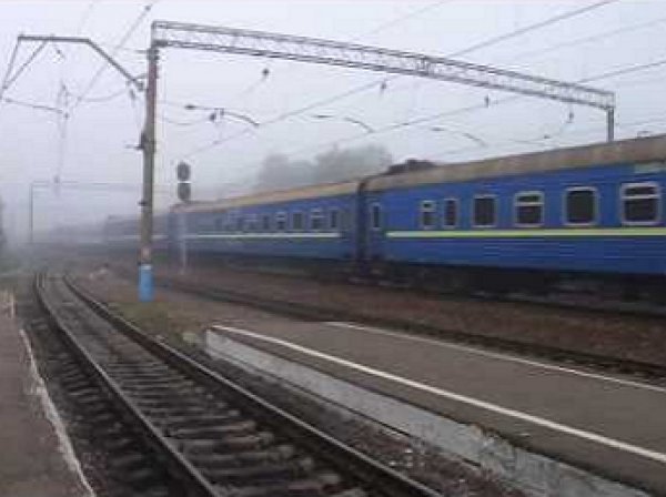 Украинская проводница поезда "Москва-Киев" пыталась вывезти из России оптические прицелы