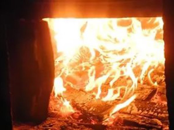 В Хабаровском крае женщина заживо сожгла свою новорожденную дочь в печи