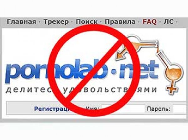 Роскомнадзор заблокировал крупнейший в России порнотрекер Pornolab