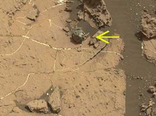 Curiosity нашел на Марсе загадочное "яйцо" (ФОТО)