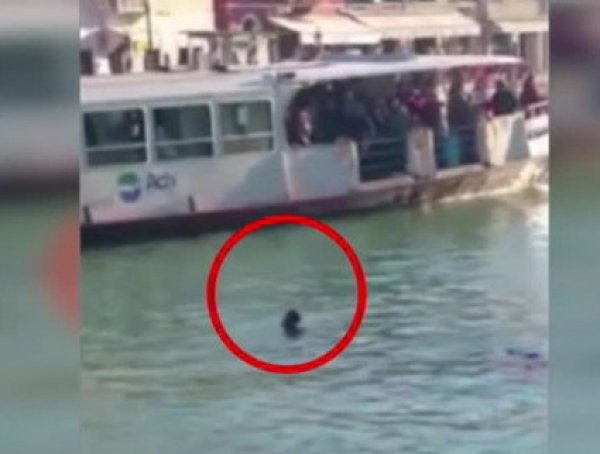 YouTube шокирован ВИДЕО: в Венеции под смех туристов  утонул беженец из Гамбии