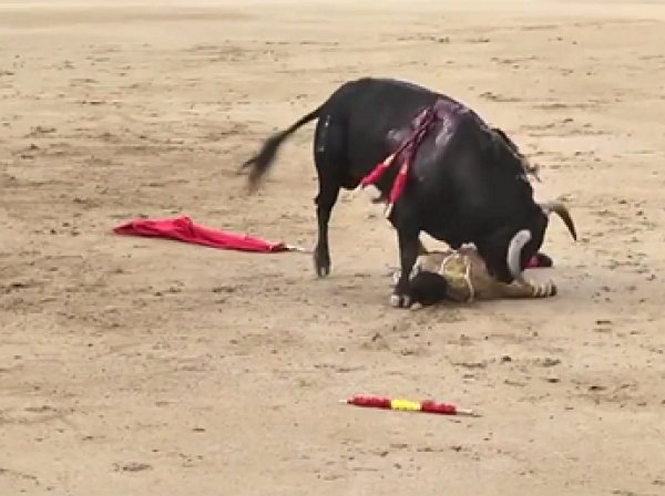 YouTube ВИДЕО: в Испании бык поднял на рога матадора и растоптал его (ФОТО, ВИДЕО)