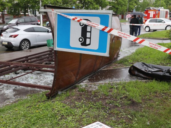 Синоптики объяснили причины возникновения урагана в Москве, убившего 11 человек