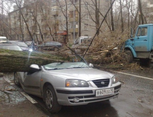 Ураган в Москве 2017 грозит повториться: синоптики предупредили об усилении ветра до 24 м/с